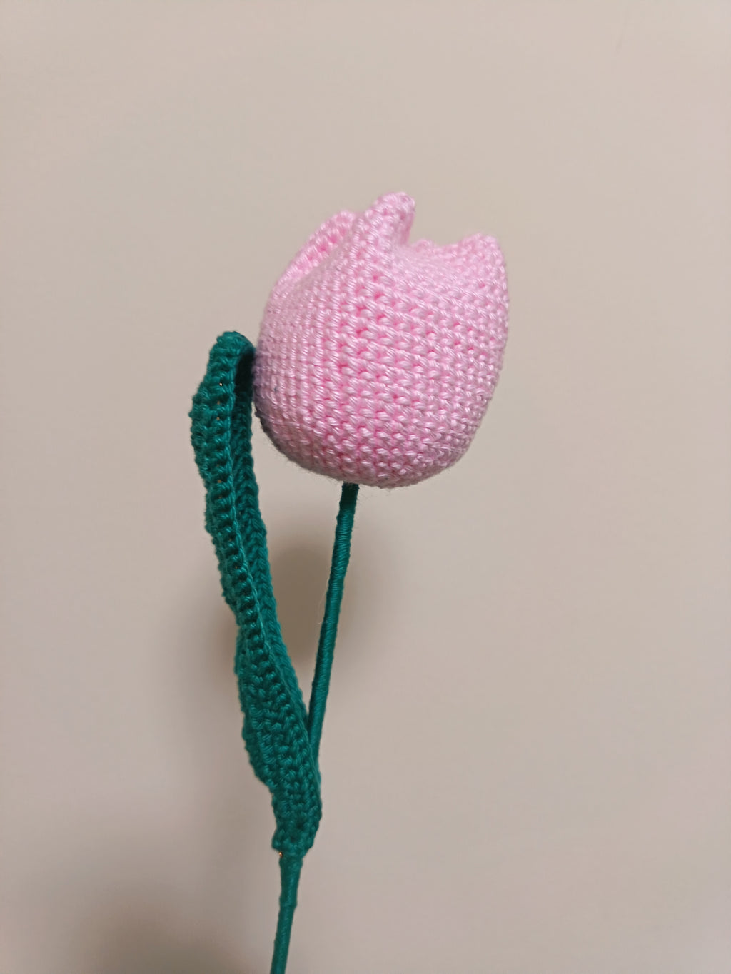 Tulipán